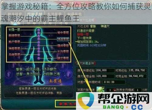 掌握游戏秘籍：全方位攻略教你如何捕获灵魂潮汐中的霸主鲤鱼王