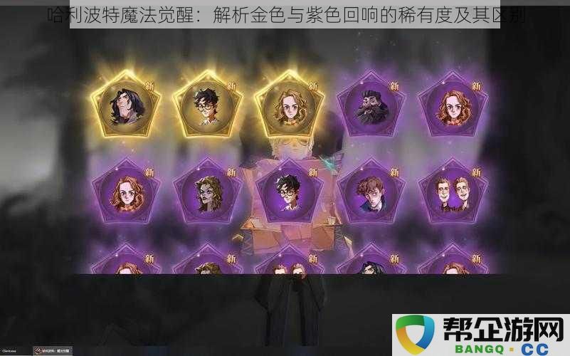 哈利波特魔法觉醒：探讨金色与紫色回响的稀有性及独特特征