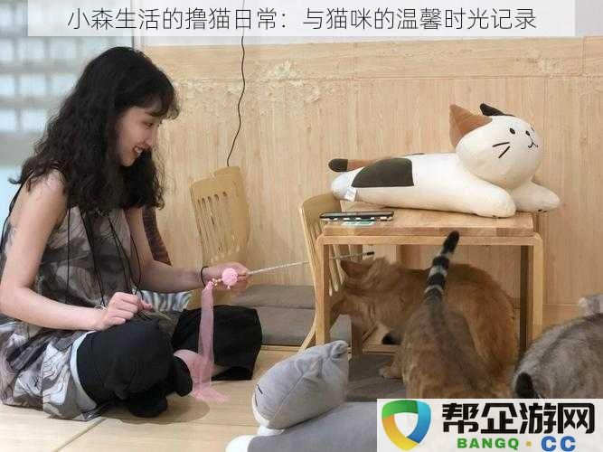 小森生活的撸猫日常：与猫咪的温馨时光记录