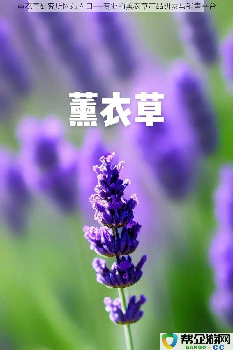 薰衣草科研机构网上入口——专注于薰衣草产品的研发与市场销售平台