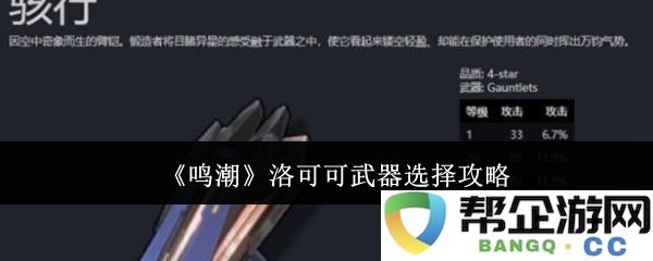 《鸣潮》游戏中洛可可武器的选择与搭配策略详解