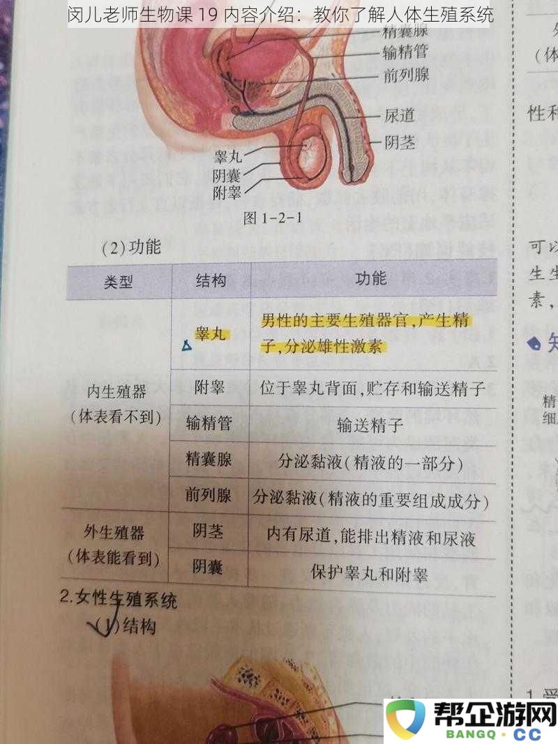 闵儿老师生物课 19 内容介绍：教你了解人体生殖系统