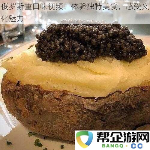 俄罗斯重口味视频：体验独特美食，感受文化魅力