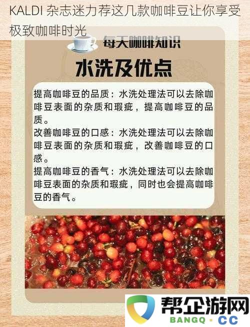 深受 KALDI 杂志推荐的精选咖啡豆，让你畅享完美咖啡时光