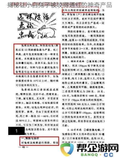 探秘令小白兔子被咬得通红的神秘产品，究竟有什么样的奇特效果？