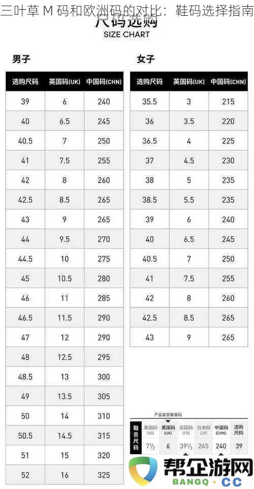三叶草 M 码与欧洲鞋码的详细对比：如何正确选择适合自己的鞋码