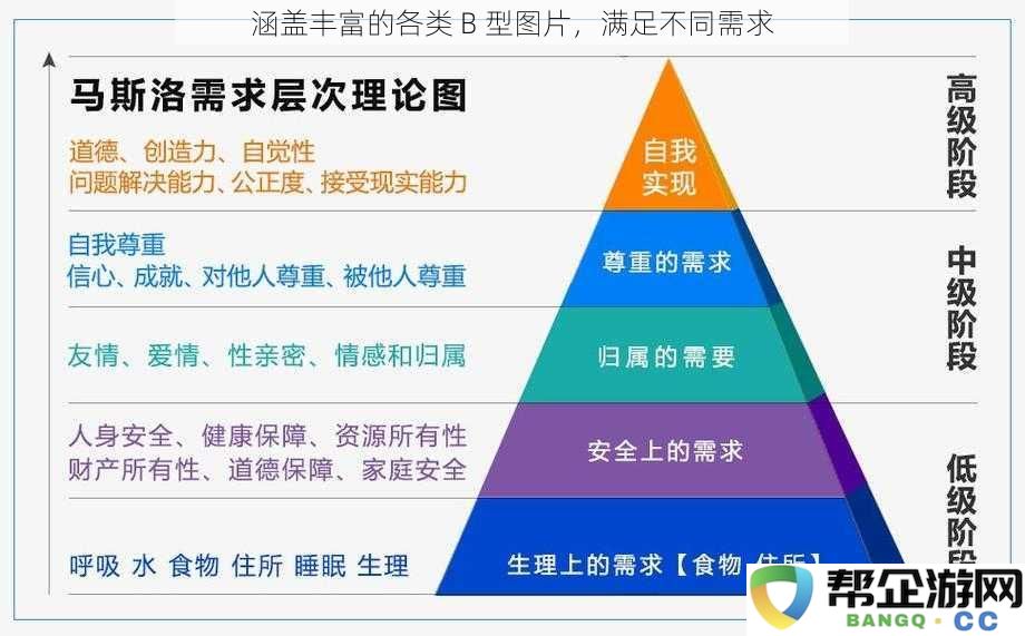 提供多样化的 B 型图片，全面满足各种不同需求的选择