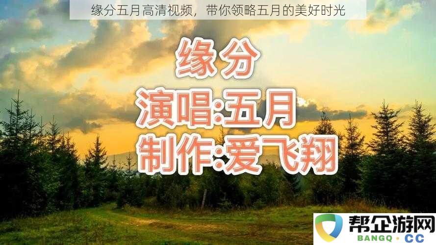 五月的缘分视频，让我们一同感受这个季节的美好时光与温暖瞬间