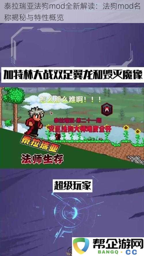 探秘泰拉瑞亚法狗mod：名称背后的故事与独特功能全面解析