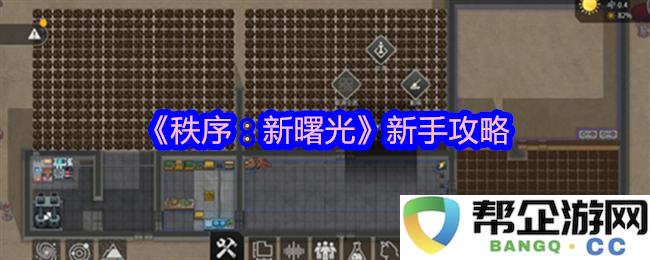 《秩序：新曙光》新手入门指南与实用技巧