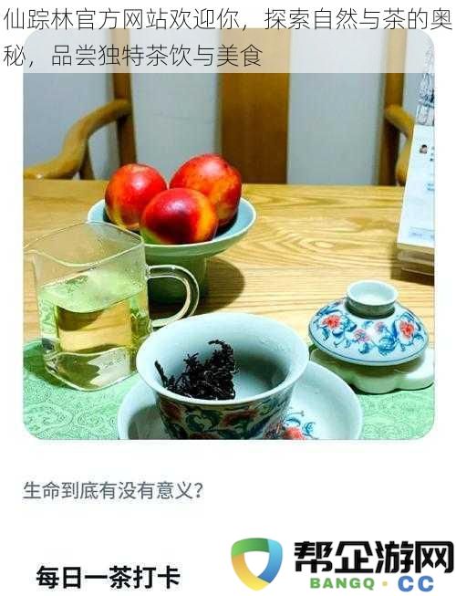 欢迎光临仙踪林官网，探寻自然与茶的奇妙世界，尽享独特茶饮与美食体验