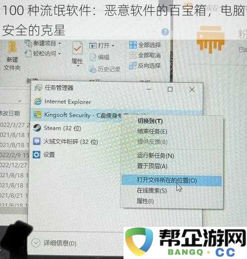 100 种流氓软件：恶意软件的百宝箱，电脑安全的克星