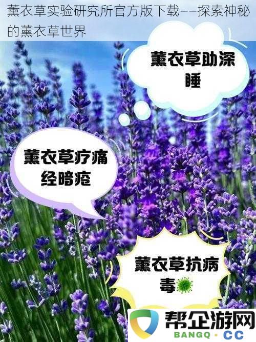 薰衣草实验研究所官方版下载——探索神秘的薰衣草世界