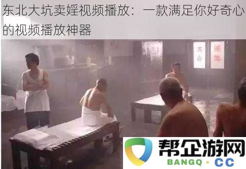 东北大坑卖婬视频播放：一款满足你好奇心的视频播放神器