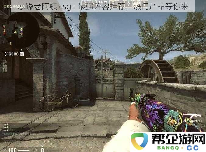 暴躁老阿姨CSGO最佳阵容分析，热门装备和战术等你来探索