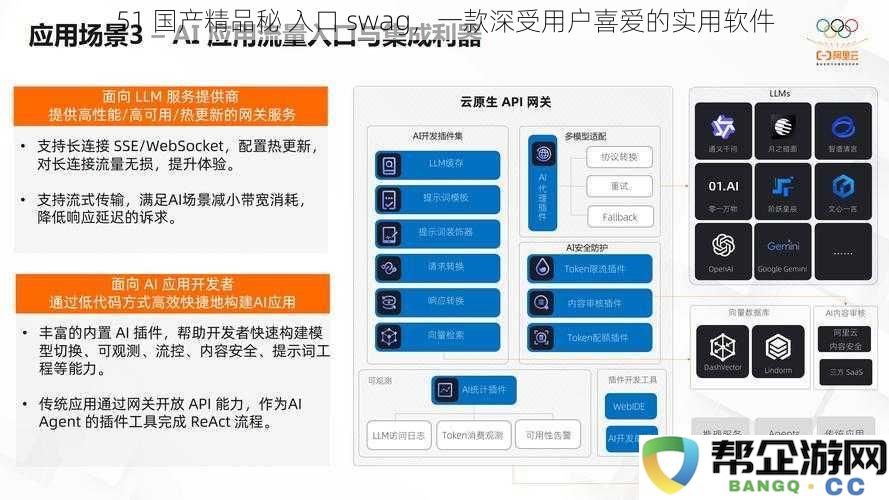 51 国产精品秘 入口 swag，一款深受用户喜爱的实用软件