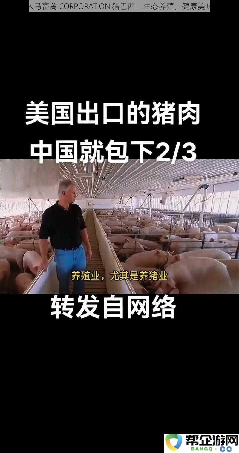 人马畜禽 CORPORATION 巴西猪肉，生态养殖理念，打造健康美味佳肴