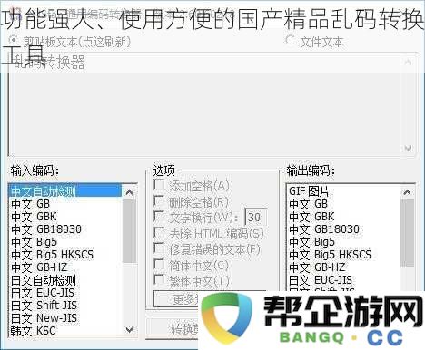 高效便捷的国产乱码转换工具，功能强大且易于使用