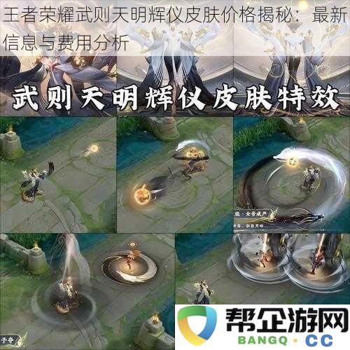 王者荣耀武则天明辉仪皮肤价格揭秘：最新信息与费用分析