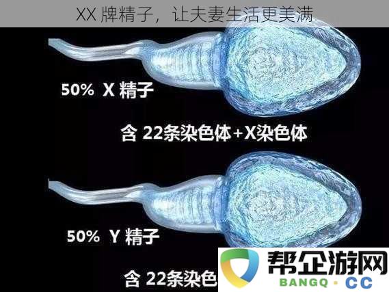 XX品牌精子，助力夫妻幸福生活更美满与和谐