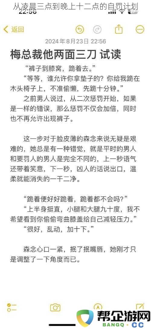 从午夜三点到午夜十二点的严格自我惩罚与反思计划