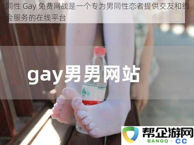 同性 Gay 免费网战是一个专为男同性恋者提供交友和约会服务的在线平台