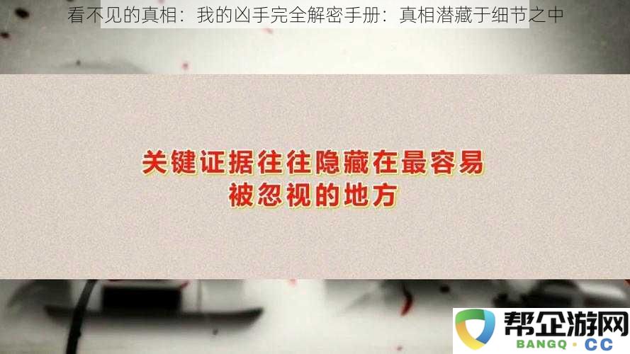 揭示隐藏的秘密：我的真相剖析手册：细节中埋藏的真凶线索