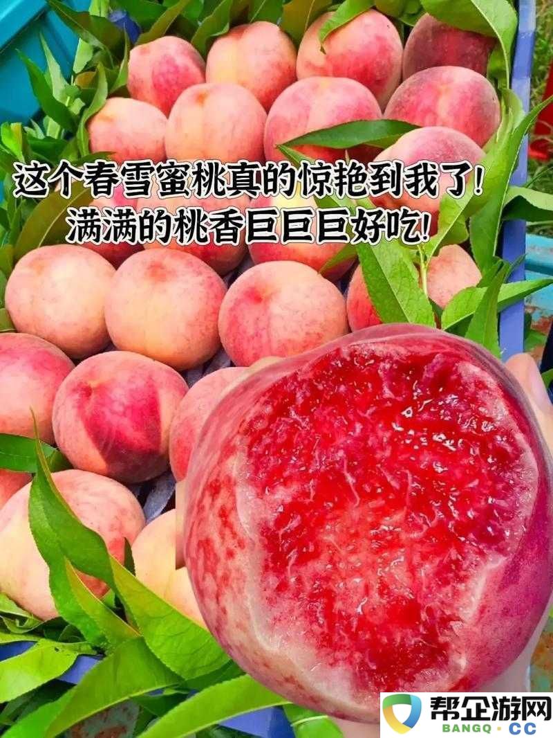 SN3858-粉色水蜜桃资源尚未更新：期待后续精彩内容上线