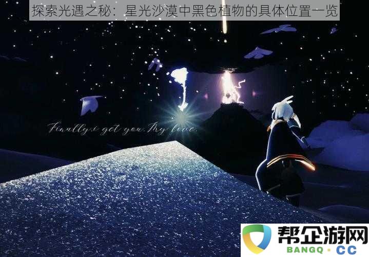 探索光遇之秘：星光沙漠中黑色植物的具体位置一览