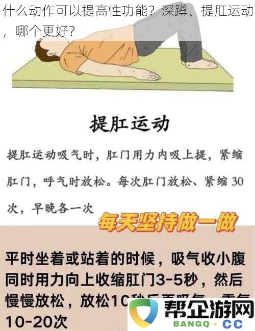 深蹲与提肛运动：哪种锻炼方式能更有效地提升性功能？