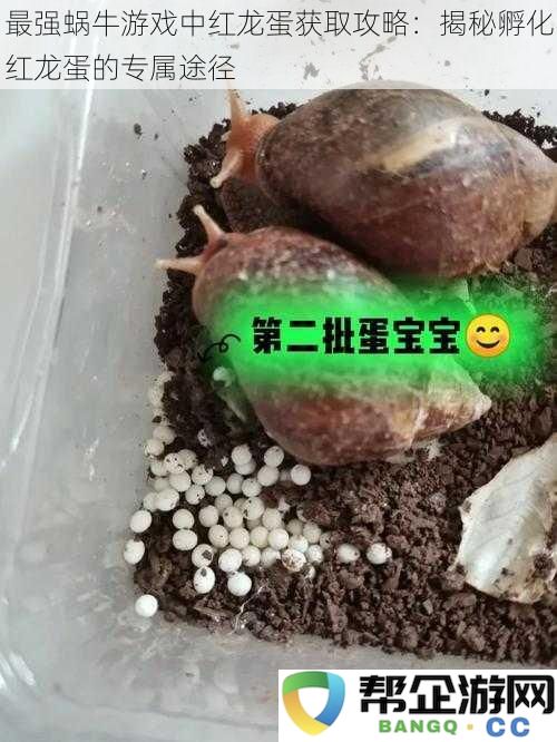 最强蜗牛游戏红龙蛋获取全攻略：深入解析孵化红龙蛋的独特方法与技巧