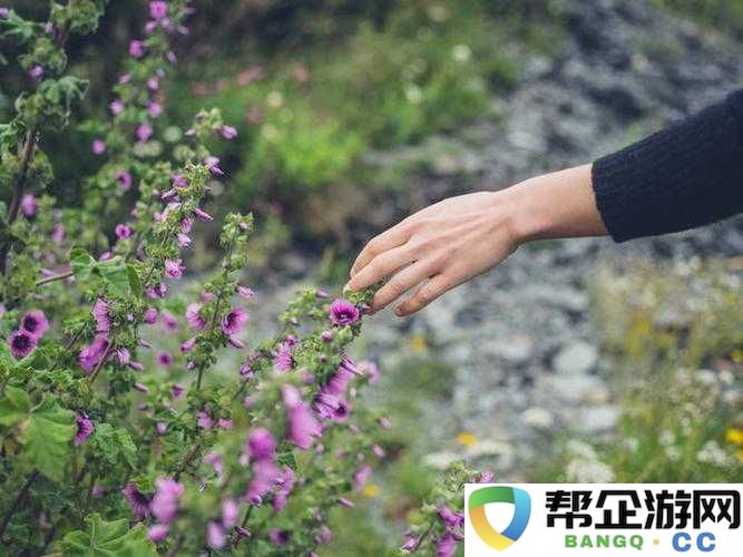 手指在花心里搅拌：一段细腻而神秘的触感探索之旅