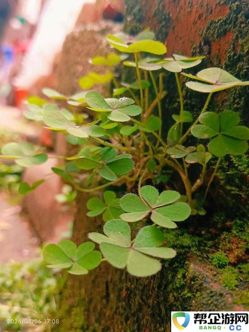 夹缝求生的河马：在绝境中寻找生存之道