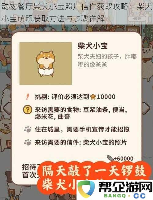 动物餐厅柴犬小宝照片信件获取攻略：柴犬小宝萌照获取方法与步骤详解