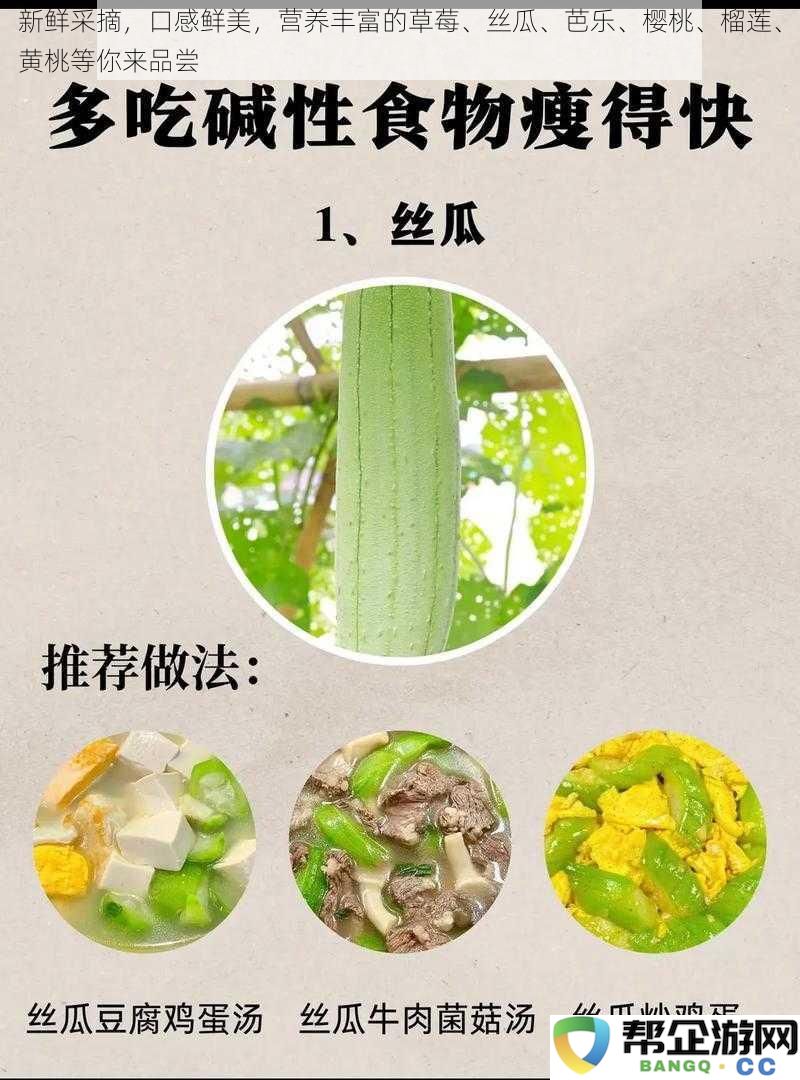 新鲜采摘的草莓、丝瓜、芭乐、樱桃、榴莲、黄桃等多种美味水果等你来品尝，尽享营养与美味