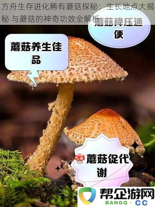 方舟生存进化稀有蘑菇探秘：生长地点大揭秘 与蘑菇的神奇功效全解析