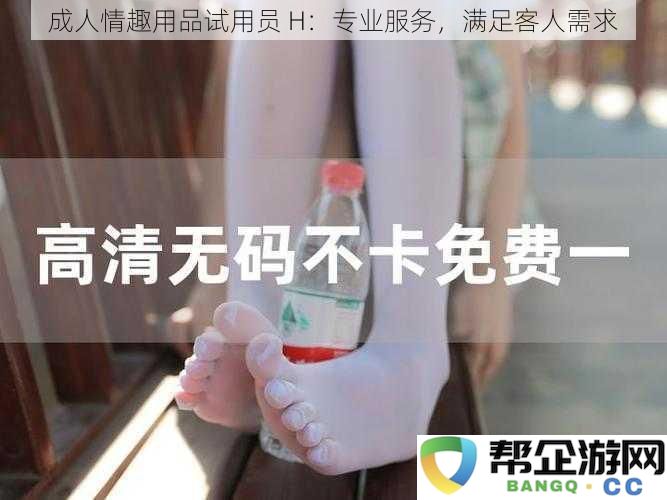 成人情趣用品试用员 H：专业服务，满足客人需求