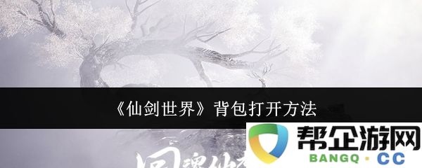 《仙剑世界》如何有效打开背包的详细攻略和步骤