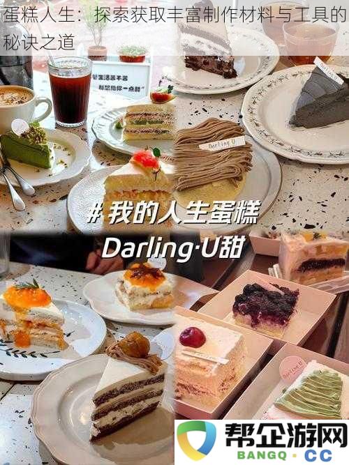 蛋糕人生：探索获取丰富制作材料与工具的秘诀之道