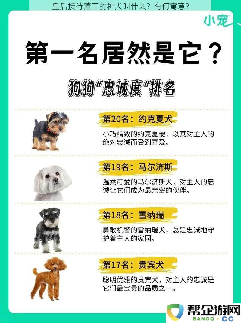 皇后迎接藩王之际的忠犬名称揭秘及其象征意义深度解析