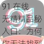 91在线无精精品秘入口：无法找到的原因及可行解决方案