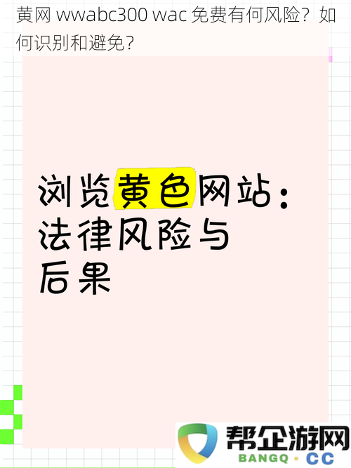 黄网wwabc300wac免费访问的潜在风险是什么？如何有效识别和规避这些风险？