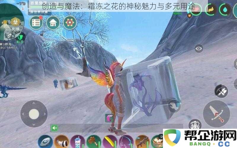 创造与魔法：霜冻之花的神秘魅力与多元用途