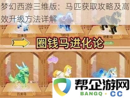 梦幻西游三维版：马匹获取攻略及高效升级方法详解