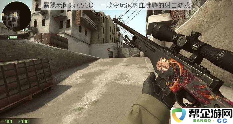 暴躁老阿姨 CSGO：一款令玩家热血沸腾的射击游戏