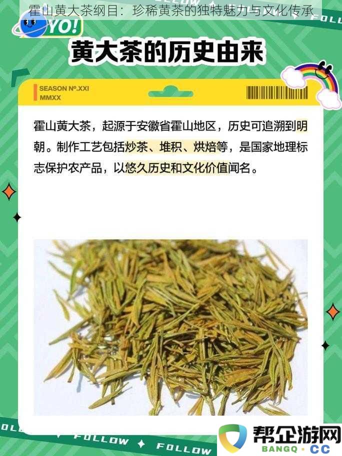 霍山黄大茶的魅力与文化传承：探寻珍稀黄茶的独特风采与历史背景