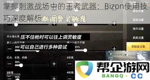 深入解析Bizon在刺激战场中的使用技巧：掌握这款王者武器的秘诀