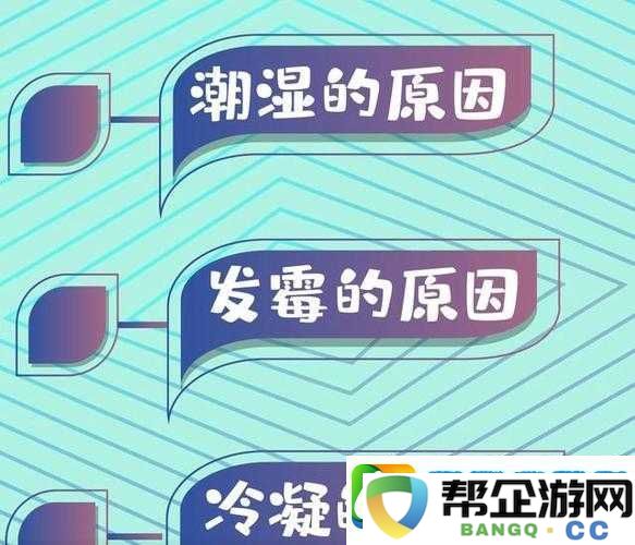 喷潮湿怎么办到的：成为潮湿控制大师的秘诀