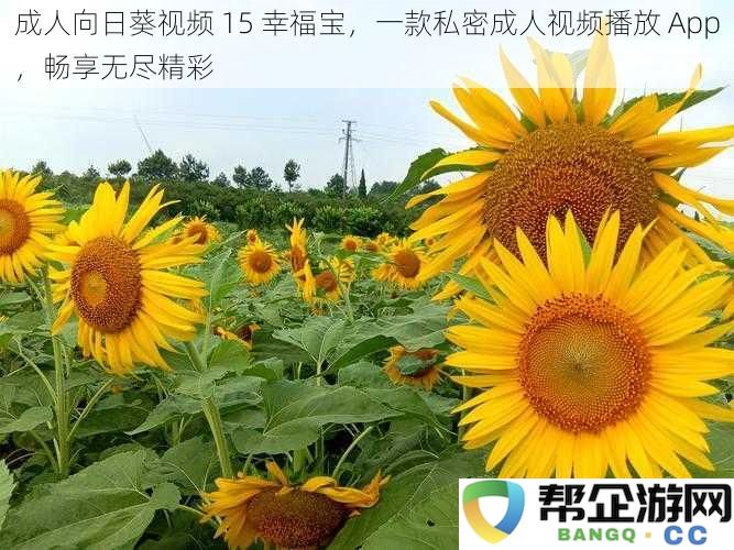 成人向日葵视频 15 幸福宝，一款私密成人视频播放 App，畅享无尽精彩