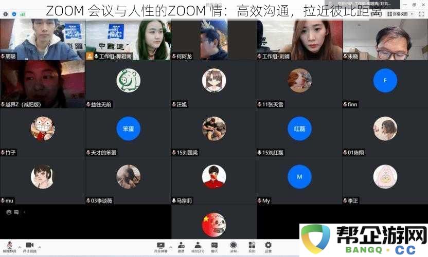 在ZOOM会议中探索人性深度：高效沟通技巧，拉近心灵的距离